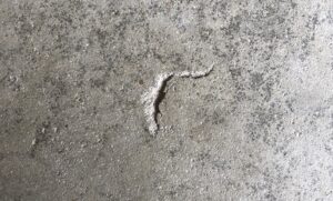 Paveman Coatings - Residential and Commercial Floor Coating Options